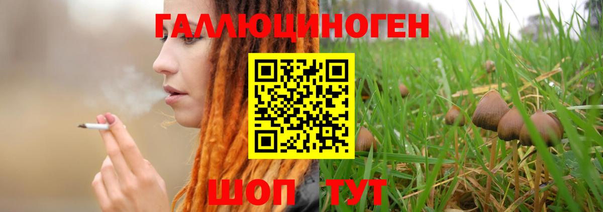 Галлюциногенные грибы GOLDEN TEACHER  Вход с VPN  Осинники 